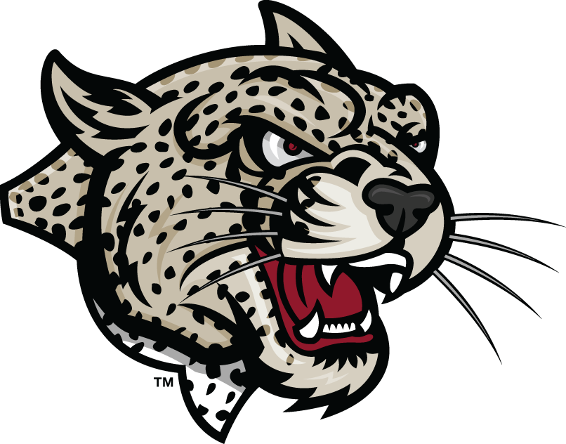 Lafayette Leopards 2000-Pres Partial Logo diy DTF decal sticker